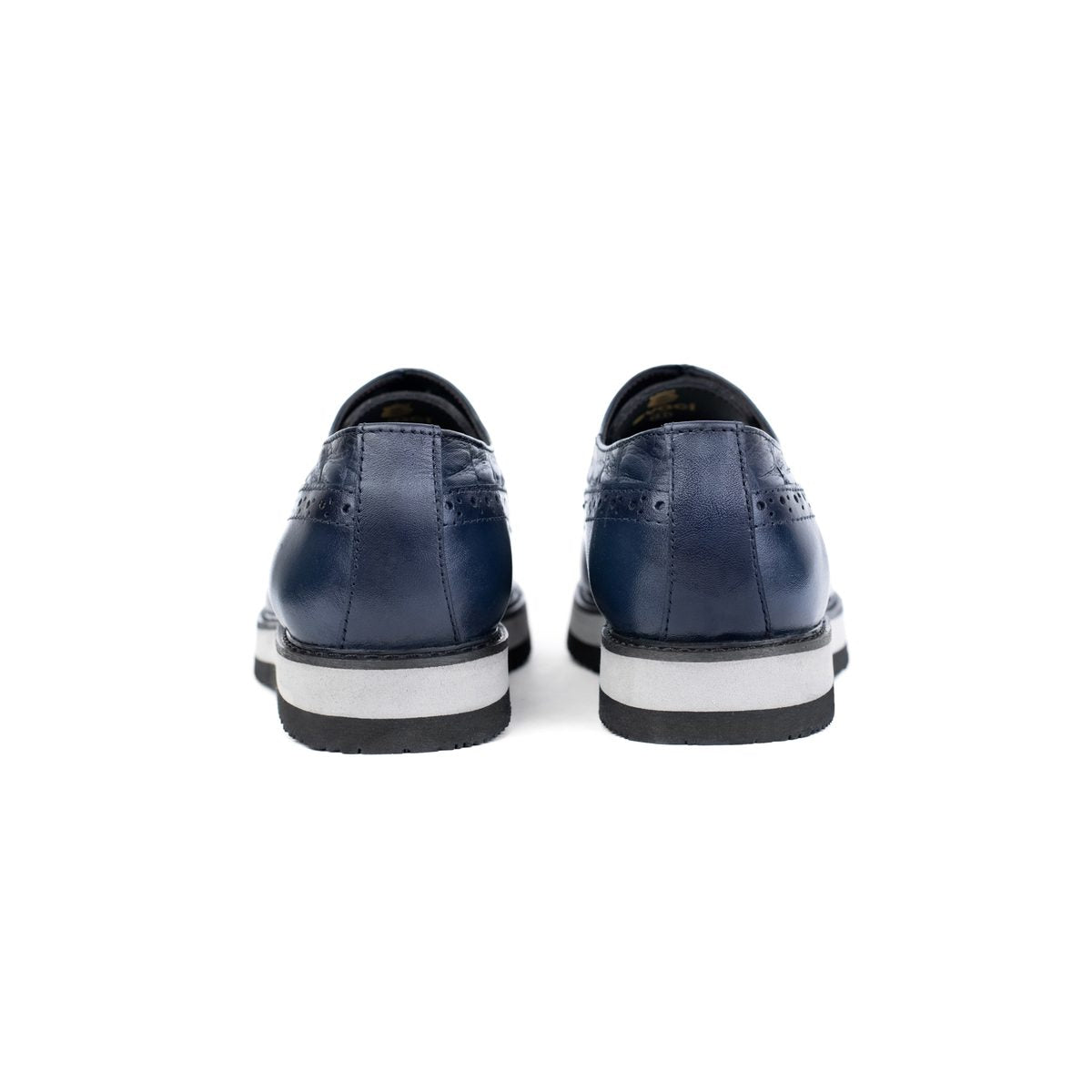 EVACI prime NAVY